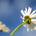 皇冠体育娱乐:畅享全球体育赛事的精彩与激情 h2d8b84