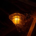 皇冠平台:打造稳定安全的商业生态与多元化增长引擎 m2c9hj3