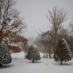 NBA精彩赛事高清视频回放全程回顾 powub