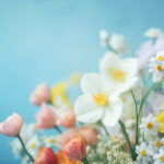 NBA美国直播网站哪个好?十大高清免费观看平台推荐 r09wr